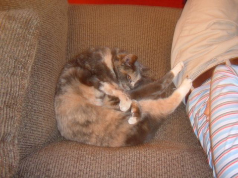 dscf0074