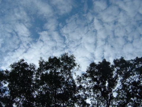 DSCF0328