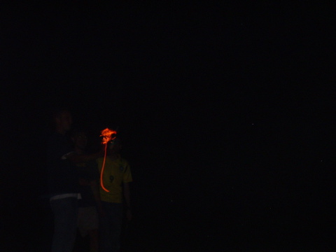 DSCF0375