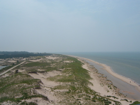 DSCF0016