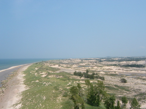 DSCF0021