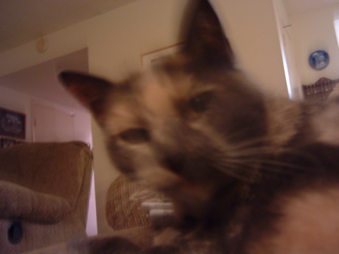 DSCF0062