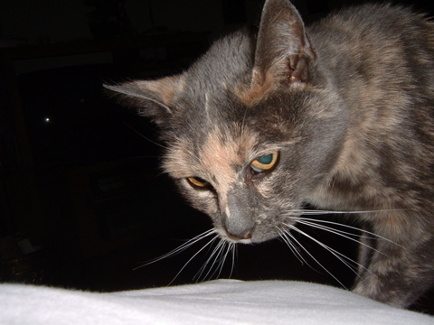 DSCF0065