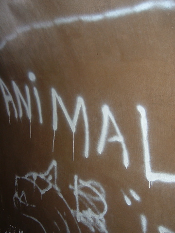 DSCF0059.JPG