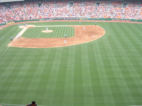 DSCF0101.JPG