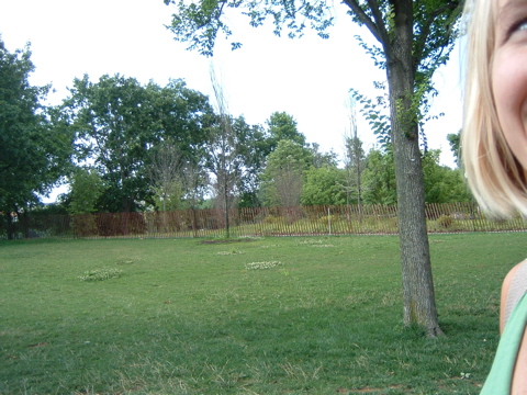 DSCF0146.JPG
