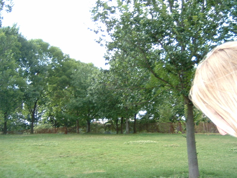 DSCF0147.JPG