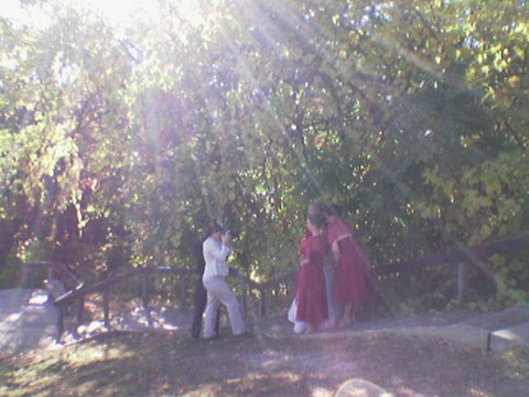 Photos
