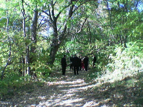 Woods!
