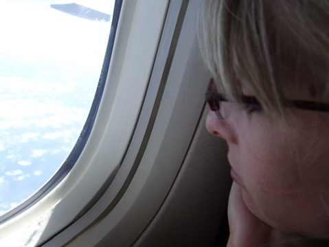 Out the window