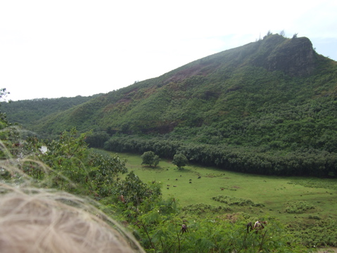 Opposite the falls, 2