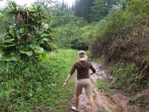 Up the trail!