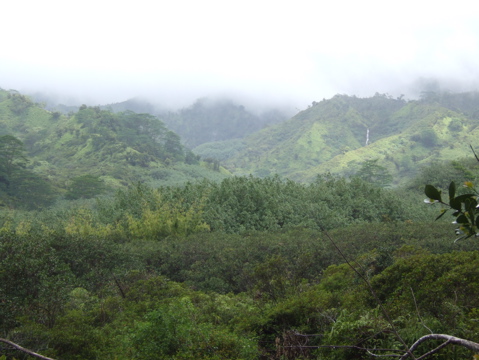 Just the valley, now