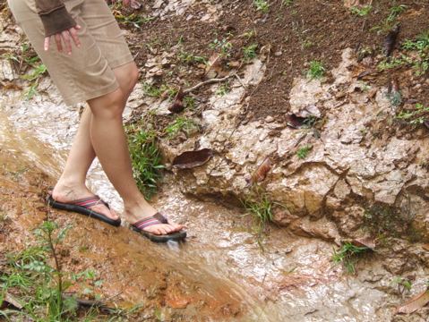 The mud