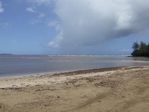 Beach in Hana Lei