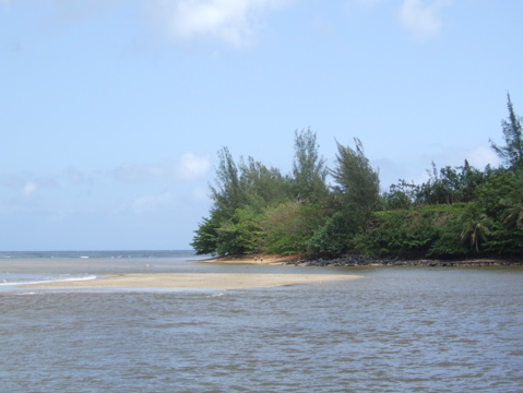 Sandbar from the pier