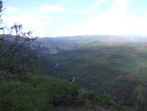 More Waimea