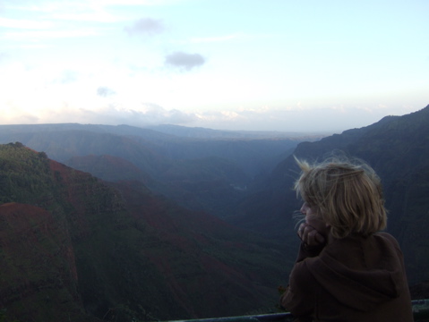 Canyon overlook