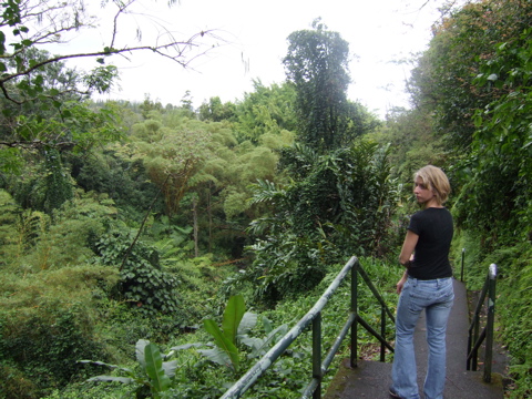 On the trail to Akaka