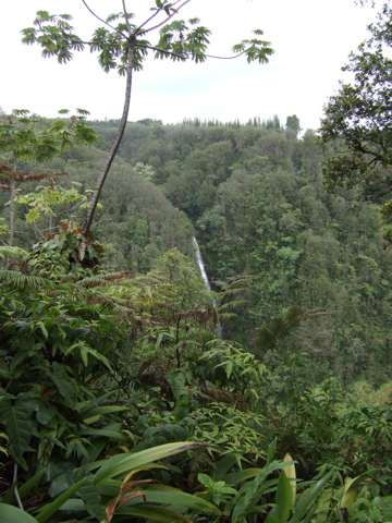 Kahuna Falls
