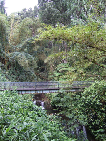 Bridge over a stream