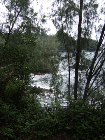Cove, from the trail