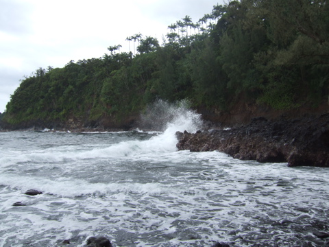 Waves at the cove