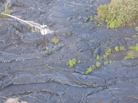 Stop! Lava!