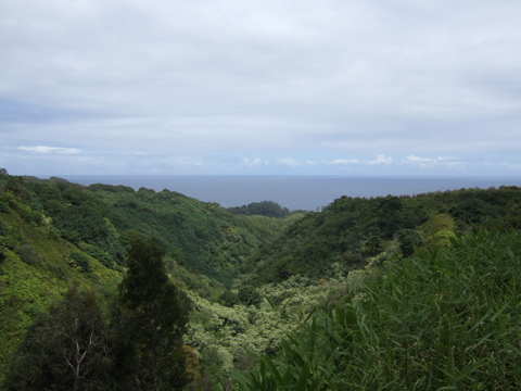 Road to Hana
