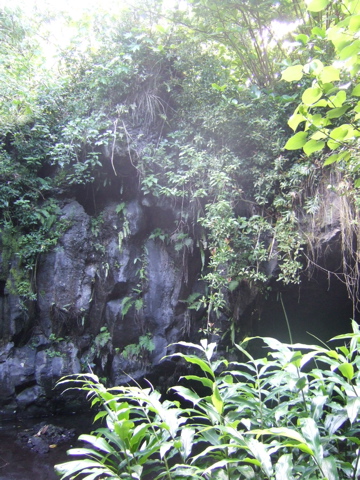 Hiding cave, 2
