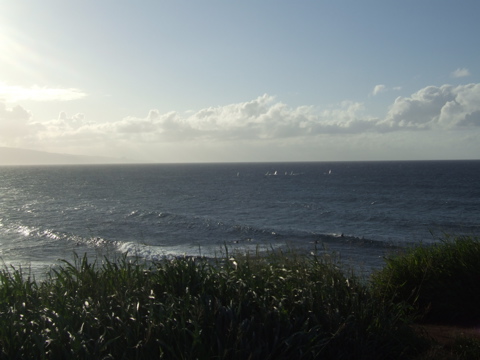 Last windsurfing picture