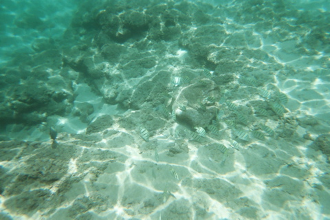 Underwater 2