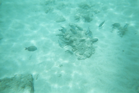 Underwater 3