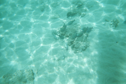 Underwater 5