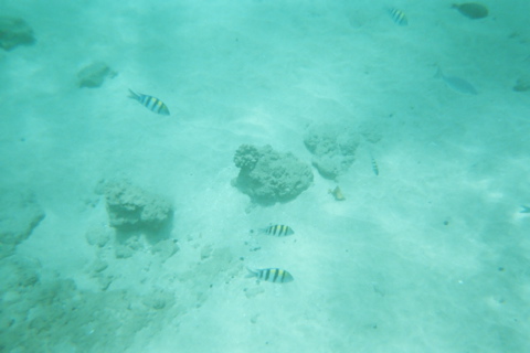 Underwater 6