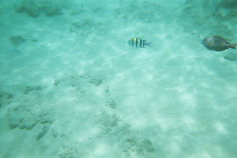 Underwater 7