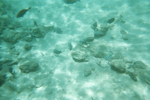 Underwater 9