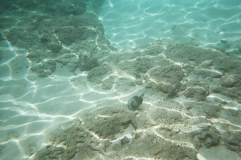 Underwater 12