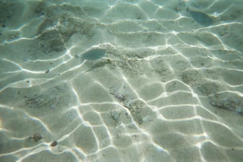 Underwater 13