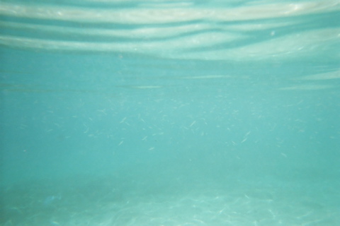 Underwater 14