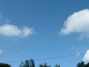 dscf0009