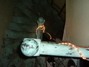 dscf0007