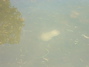 dscf0013