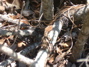 dscf0022