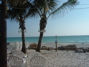 dscf0046