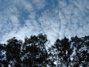 DSCF0328