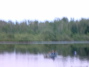 DSCF0339