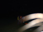 DSCF0372