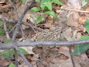 DSCF0014