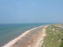 DSCF0017